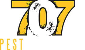 707 Pest Solutions