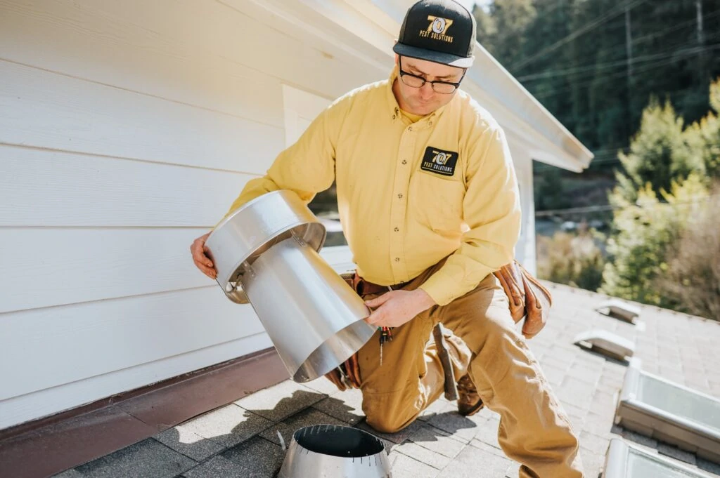 Bat removal service california