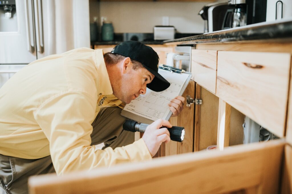 Cockroach Control Service